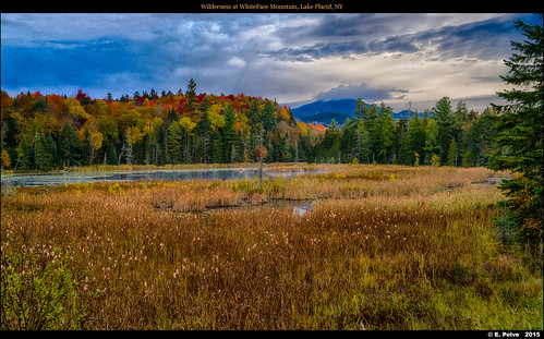 new york autumn trees mountain lake fall forest 35mm t state f14 sony adirondacks newyorkstate fe za whiteface placid lakeplacid distagon 2015 whitefacemountain fall2015 sonydistagontfe35mmf14za sonya7rii a7rii
