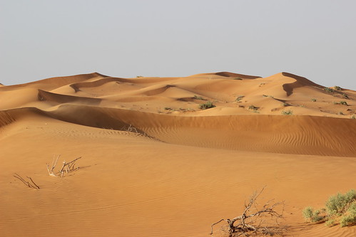 desert uae environment rak unitedarabemirates sanddunes rasalkhaimah