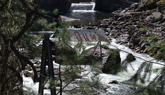Idaho Selway Falls  (#0176)