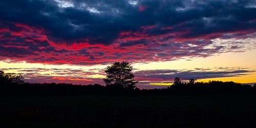 sunset summer sky copyright tree michigan canon5d upnorth prescott 2015 ef1740mmf4lusm