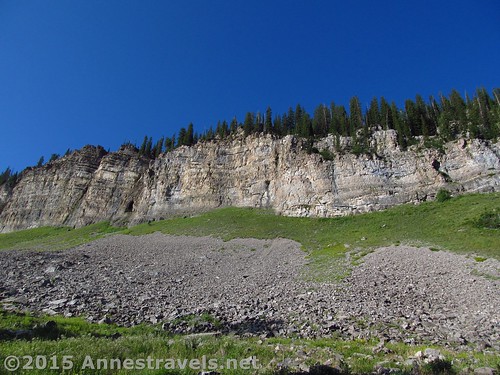 Cliffs in Upper Darby Canyon, Jedediah Smith Wilderness Area, Wyoming