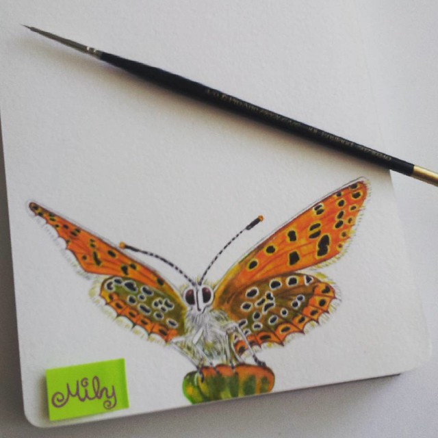 #butterfly #moleskine #mariposa #artjournal #onesketchaday #watercolours #portrait #drawing #sketchbook #acuarelas