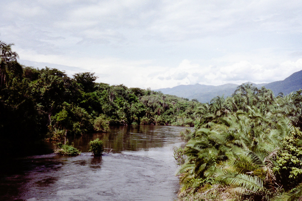 Bandundu jungle, RD Congo 1996