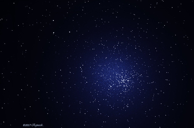 Open Star Cluster (M41)