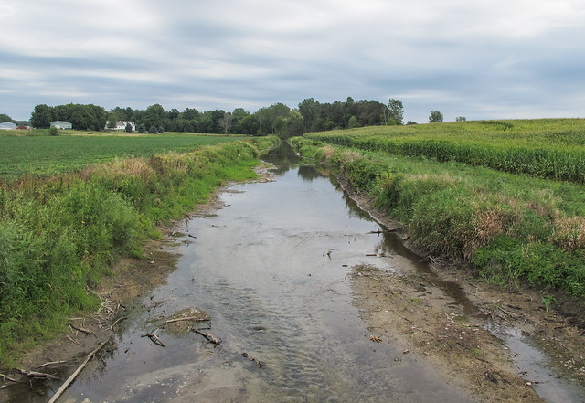A ditch of fertilizer water is in fact the Little Thornapple River.