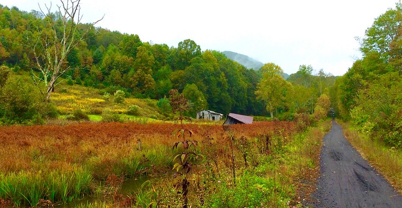 A Damp Autumn Morning on the Virginia Creeper Trail near Green Cove VA