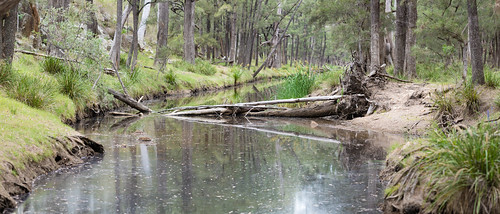 river au australia newsouthwales capertee glenalice