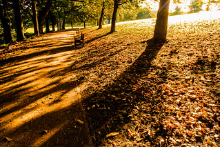 Gnoll Park Autumn