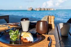 Breakfast by the sea