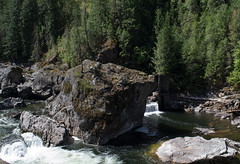 Idaho Selway Falls  (#0175)
