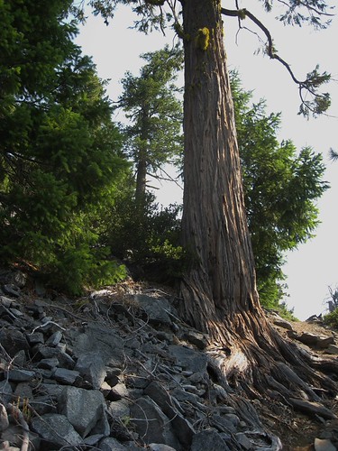 Devils Punchbowl 8 2014 038 | by Trailken1
