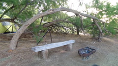 Nicely swept camp area with bench at Coward Springs SA