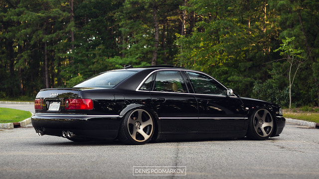 Bagged D2 S8