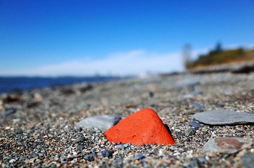 Pop! #boston #island #beach #geology #spectacleisland #bostonharborislands #blue #orange #landscape #massachusetts #nationalpark #exploremore #igersmassachusetts @igersmassachusetts @nationalparksus | by deadwolfbones