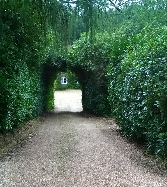 Hedged entrance 