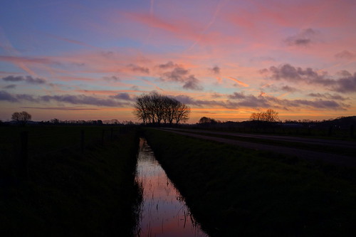trees sky cold holland water netherlands clouds sunrise landscape december polder ooijpolder