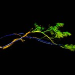 Polarlicht – Vorschau 8