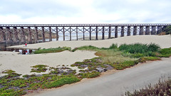 California-06417 - Walking Bridge