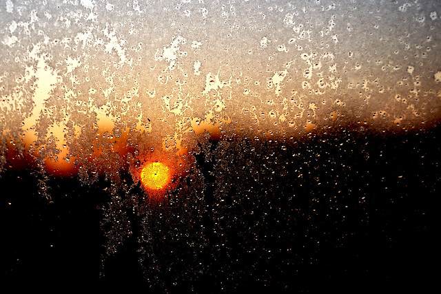 Sunrise through hoarfrost