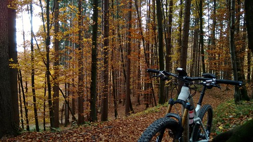 autumn salzburg bike austria österreich al canyon sl 99 mtb biketour spectral flachgau mw1504 30102015