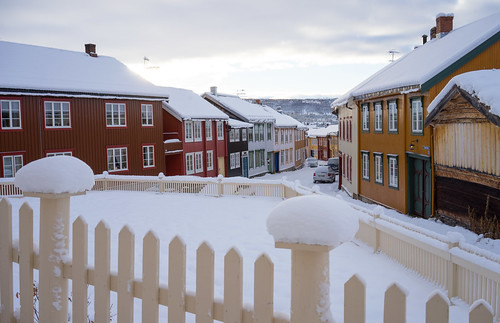 røros bergstaden norway trøndelag flanderborg snø snow winter vinter gjerde fence