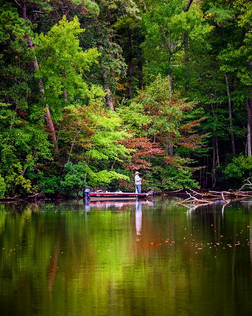 Enjoying the fall to its fullest .... #VirginiaBeach #park #loveVA #lensblur #fishing #fallcolors