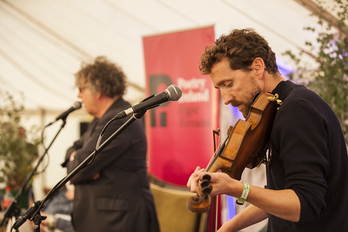 MindField at Electric Picnic 2015