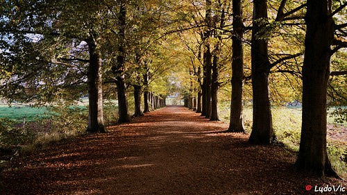 valkenburg castle netherlands paysbas automne autumn décor automnale limbourg limburg maastricht lцdоіс