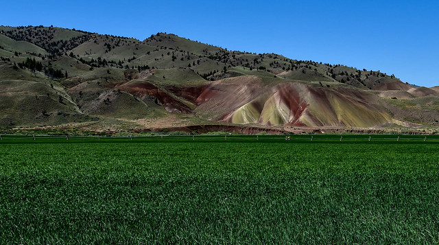 A first glimpse on the the way in to the Painted Hills