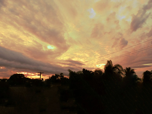 sunset sky storm yellow nikon australia palmtrees bundaberg yellowsunset p520