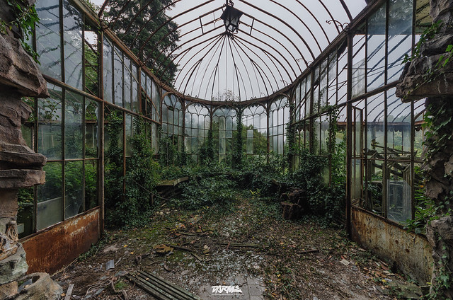 Abandoned Greenhouse-2