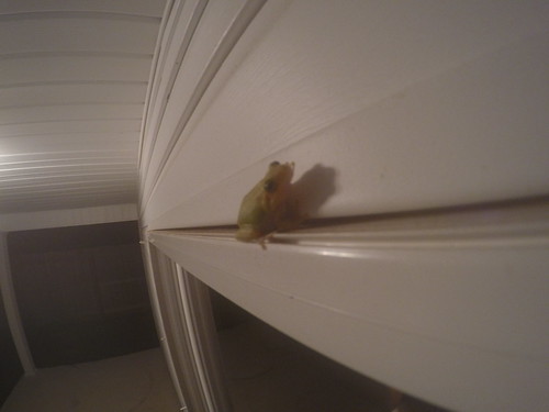 New photo added to "GoPro Album" | by Veer.nathan
