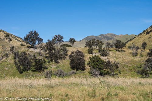 highway7 newzealand pentaxk3 southisland roadviews smcpentaxda18135mm