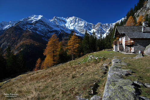 autumn alps alpes pasture monterosa alpen autunno alpi macugnaga alpeggio anzasca valleanzasca anzascavalley zmakana cicerwald
