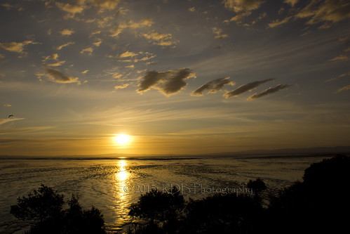 sunset orange sun yellow thames clouds reflections mud flats mangroves mudflats firth tikapa
