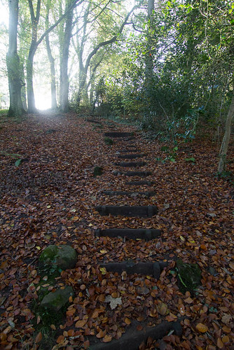 Steps and Stones | by Lune Shadows (Larry Williams)