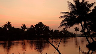 Sunset Reflection Kuttanad