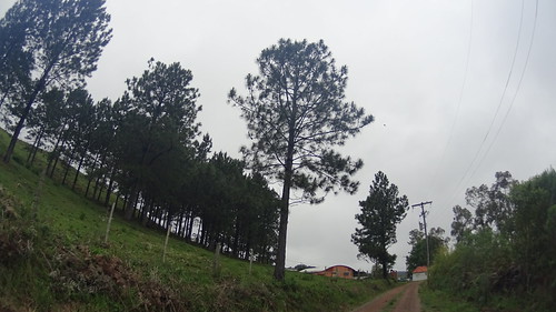 DSC00879 by prebianca,                                nature landscape sony wide pro