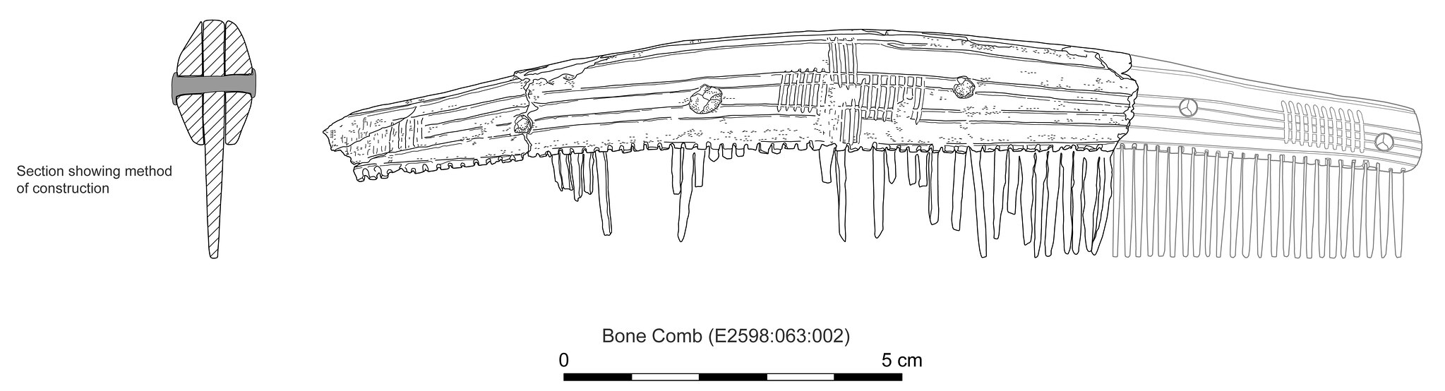 Artefact Illustration - Bone | Flickr