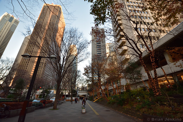 Shinjuku Skyscraper District