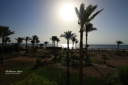 Taba Morning by Wesam Alissa, #Sea, palm trees and sun are all what you can see in #Taba #Egypt #Sinai
©Wesam Alissabeach sunrise 