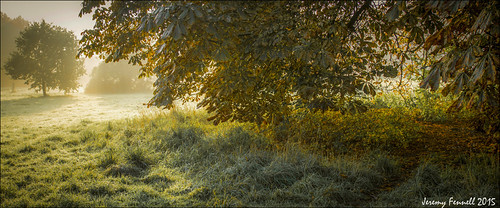 Autumn light in October | by zolaczakl