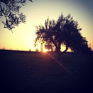 #sunset #tramonto #aperitivo #martini #summer #estate #etnapolis