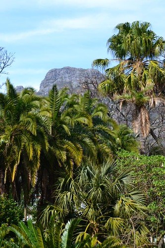 Cape Town