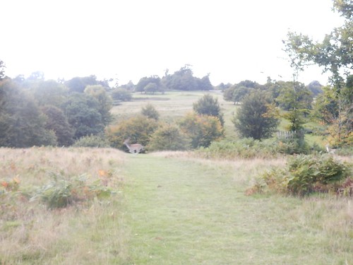 Knole view with deer Borough Green to Sevenoaks