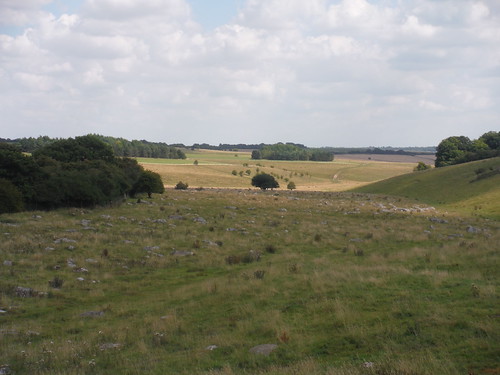 Fyfield Down Sarsen Stone Field, view from the West SWC Walk 255 Pewsey Circular via Avebury