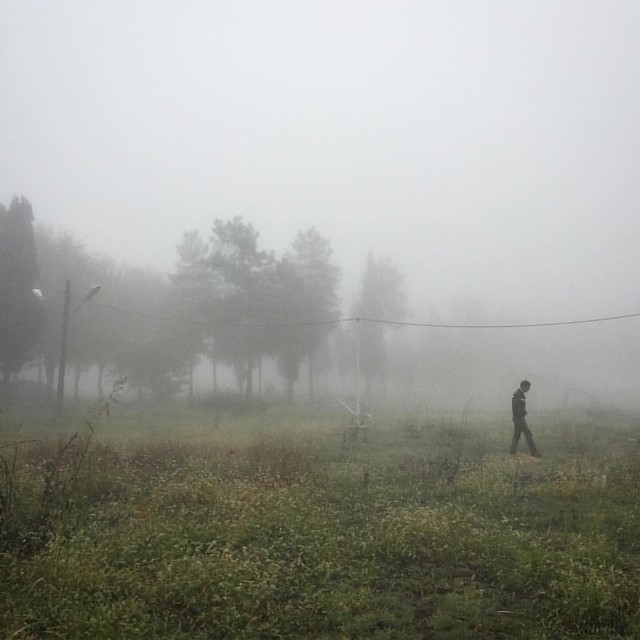 #north#fog#rain#مه #جنگل توسكستان #گرگان#everydayIran #Gorgan