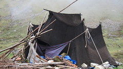 Yak herder's tent