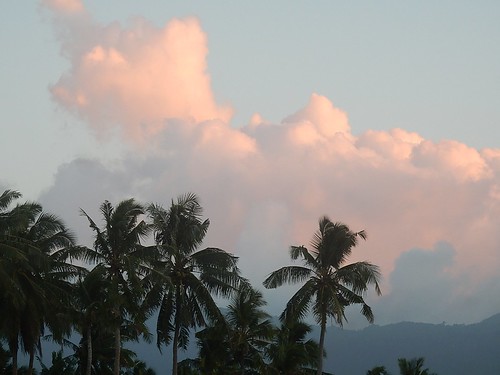 apia samoa palms silhouette clouds sunset