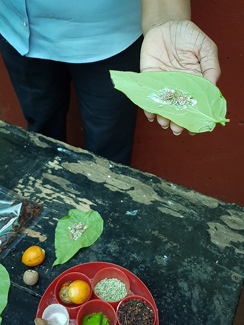 How to make paan, Agra